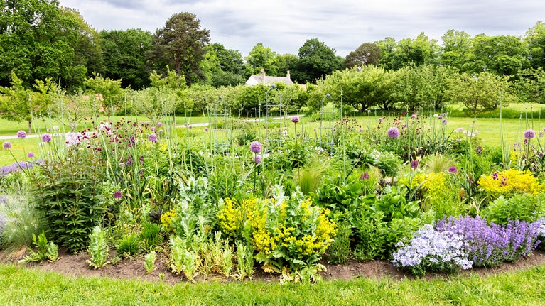 A round flower bed inspired by celestial galaxies